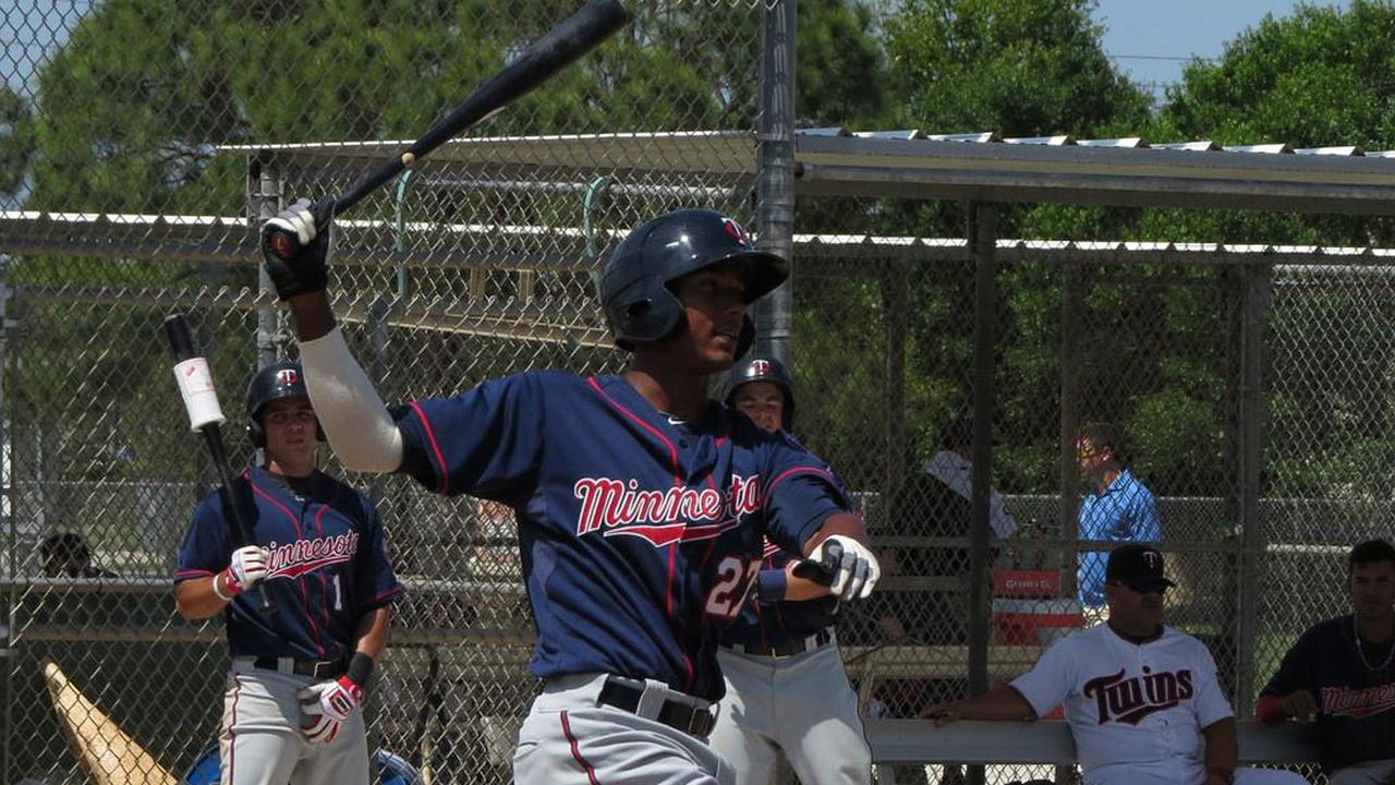 Twins minor-league stars of the week: July 24
